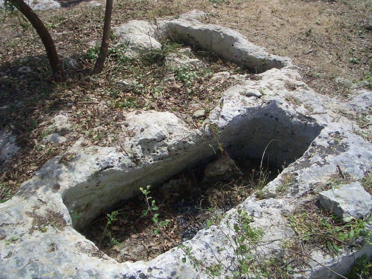 Mundus Terrae Villa Casa della Contessa Buitenkant foto